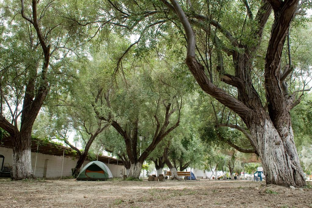 Hotel Camping Koula Páros Habitación foto